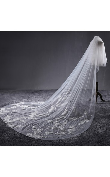 Ethereal Long Tulle Wedding Veil with Lace and Flower Appliques