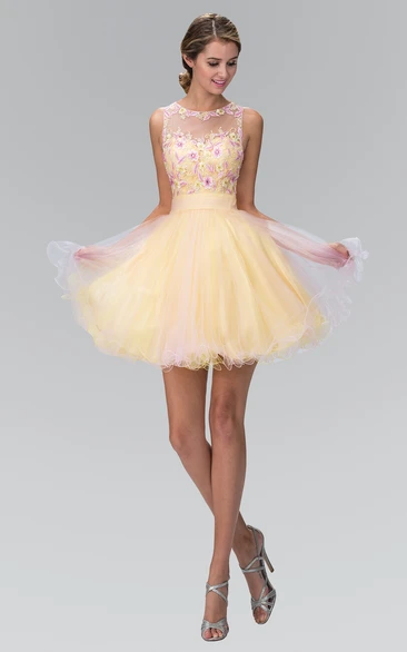 Multi-Color Appliqued Appliqued A-Line Mini Sleeveless Jewel-Neck Tulle Dress