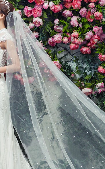 Fairy Long Tulle Bridal Veil With Pearl