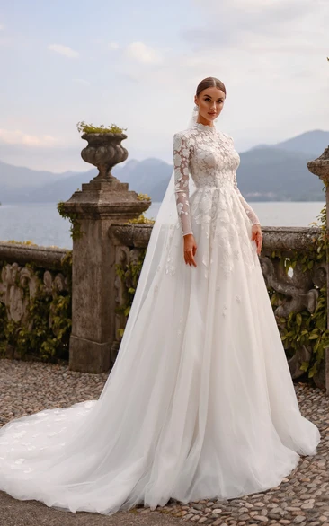 Modest Long Sleeve Lace High-neck A-line Ball Gown Wedding Dress with Court Train