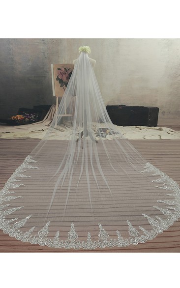 Ethereal Style Cathedral Tulle Wedding Veil with Lace Edge