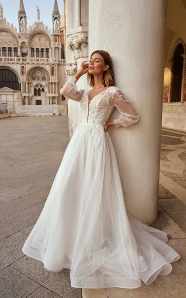 V-neck Illusion Long Sleeve Lace Applique A-line Tulle Wedding Dress