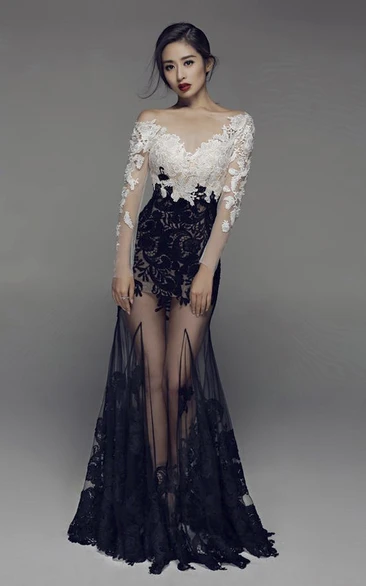 Sexy Two Tune Mermaid Illusion Long Sleeve Gown With Appliques