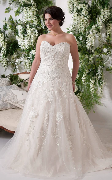 Sweetheart Tulle Lace Appliqued Ball Gown With Court Train And Zipper