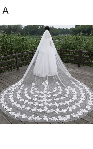 New Korean Ethereal Extra Long Tailed Wedding Veil with Lace Appliques
