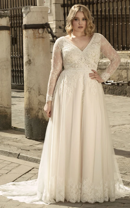 Vestido de novia romántico de corte A con escote en V y cola de corte princesa con apliques.