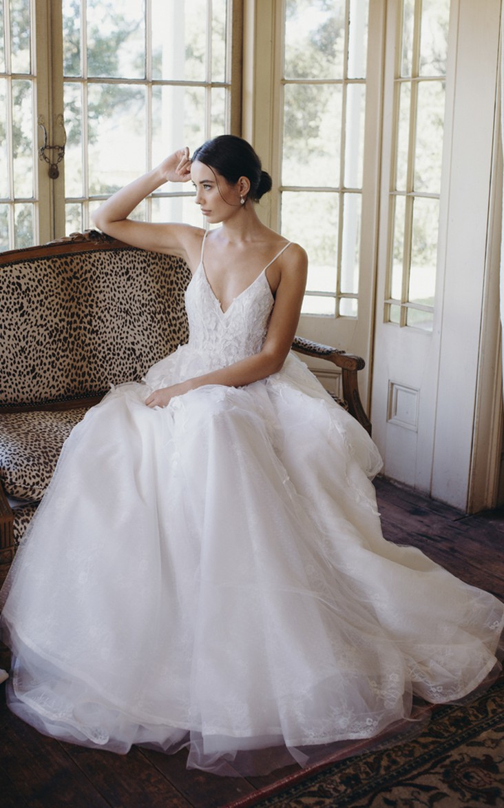 Ethereal Spaghetti Straps Plunging V-neck Backless Tulle Bridal Ballgown With Lace Appliques